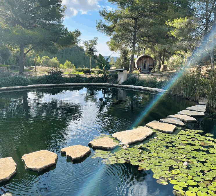 Piscinas Naturales: tendencia ecológica y bienestar en exteriores en 2026