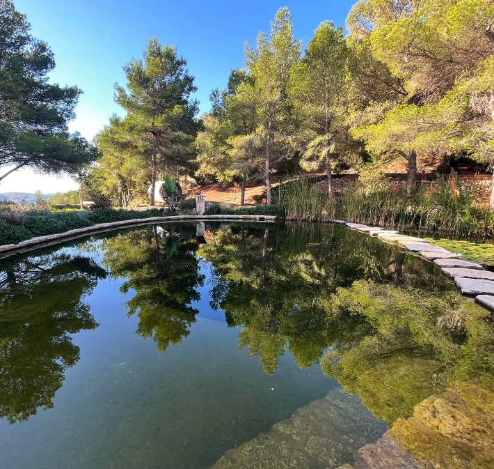 Captura de pantalla 2025-10-20 a las 18.37.16