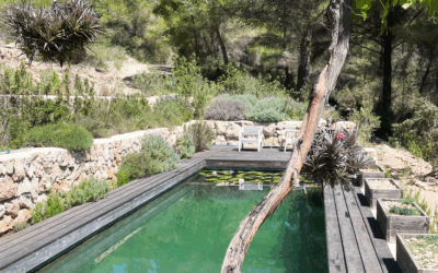 Bioconstrucción: la arquitectura ecológica que transforma espacios