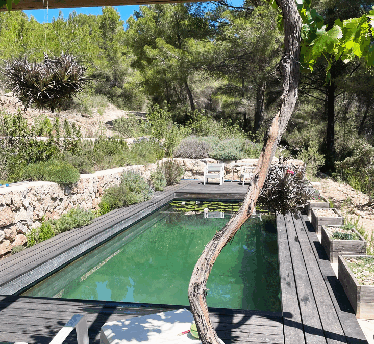 Bioconstrucción: la arquitectura ecológica que transforma espacios