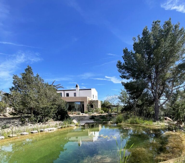 Paisajismo y Diseño de Jardines: las tendencias que dominan en 2026