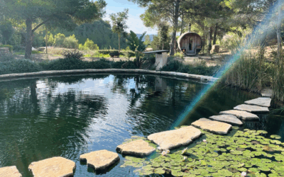 Piscinas Naturales: tendencia ecológica y bienestar en exteriores en 2026