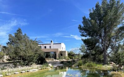 Paisajismo y Diseño de Jardines: las tendencias que dominan en 2026