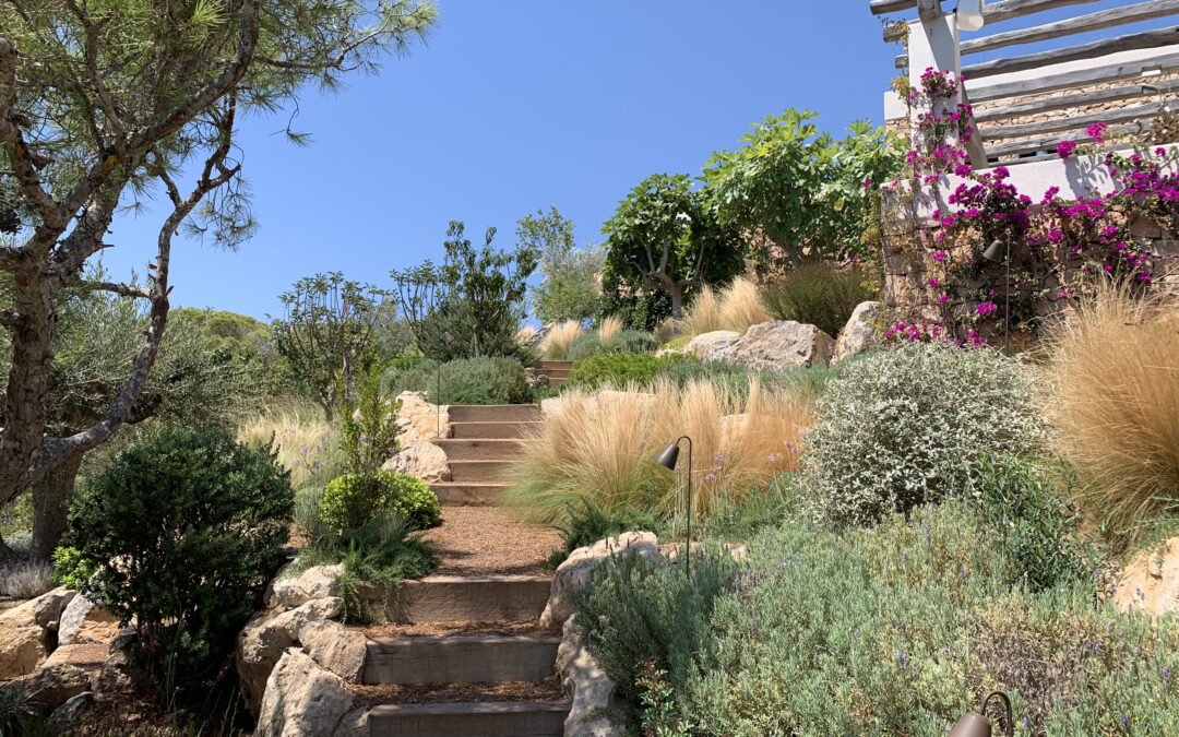JARDIN SOSTENIBLE MEDITERRANEO