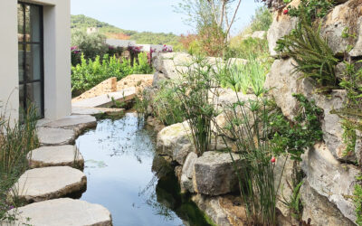 EL AGUA EN EL JARDIN